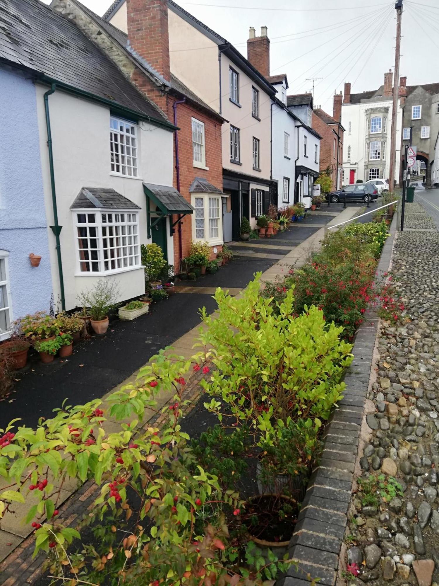 Toad Hall Ludlow Exteriör bild